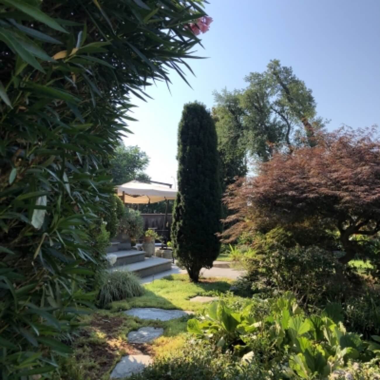 Giardino Con Piantumazione Perimetrale Di Arbusti E Piante Sempreverdi 