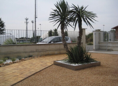 Giardino Tropicale A Bassa Manutenzione Con Ghiaie E Sabbia 