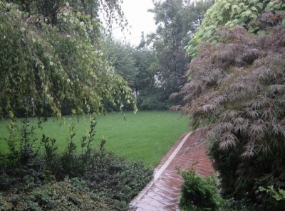 Parco Con Aceri, Betulle , Cespugli Di Spirea E Di Alllori 