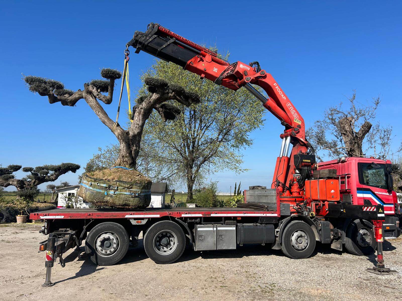 Carosello morgiardini.it